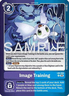 Image Training