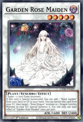Garden Rose Maiden