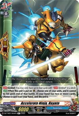 Accelerate Ninja, Hayate