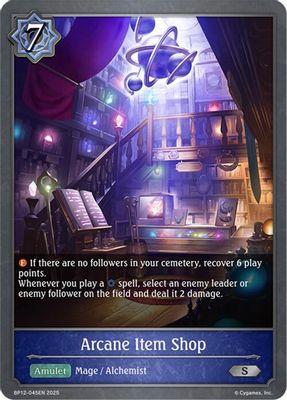 Arcane Item Shop