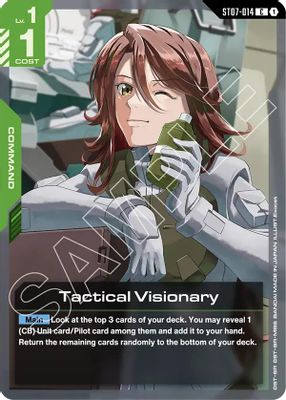 Tactical Visionary