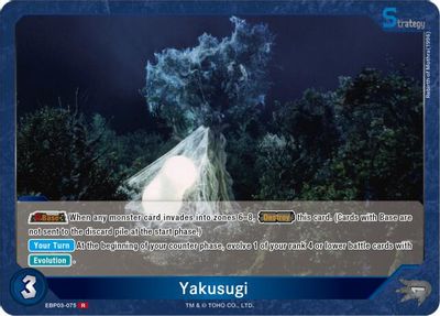 Yakusugi (EBP03-075)