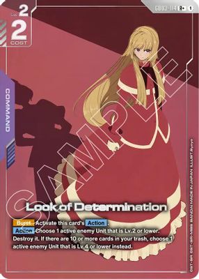 Look of Determination (R+)
