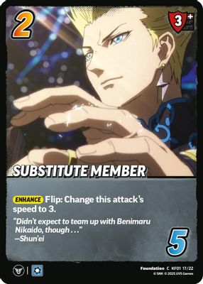 Substitute Member