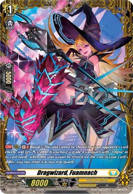 Dragwizard, Fuamnach (FR)
