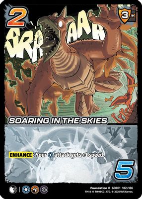 Soaring in the Skies