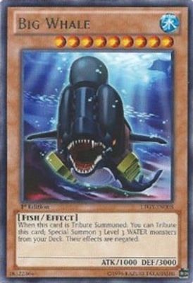 Big Whale