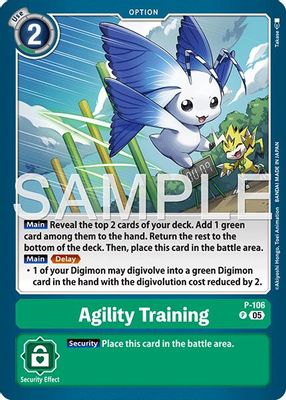 Agility Training (Reprint)