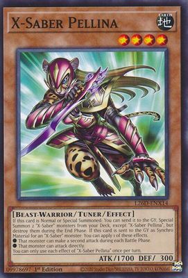 X-Saber Pellina
