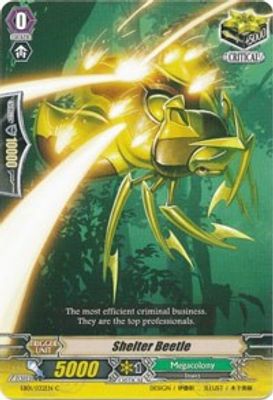 Shelter Beetle