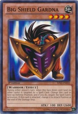 Big Shield Gardna