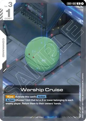 Warship Cruise
