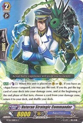 Veteran Strategic Commander