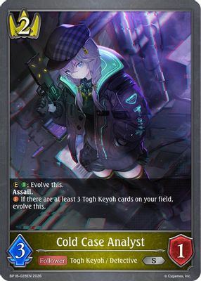 Cold Case Analyst