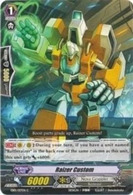 Raizer Custom