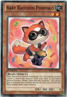 Baby Raccoon Ponpoko