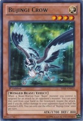 Bujingi Crow