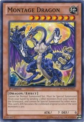 Montage Dragon
