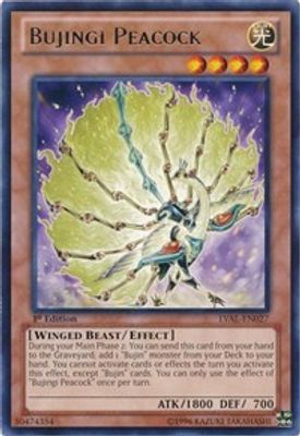 Bujingi Peacock