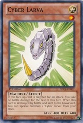 Cyber Larva