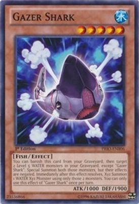 Gazer Shark