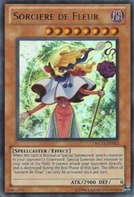 Sorciere de Fleur