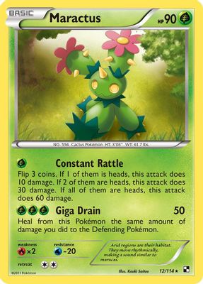 Maractus (12)
