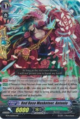 Red Rose Musketeer, Antonio