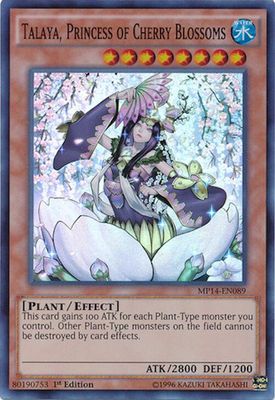 Talaya, Princess of Cherry Blossoms