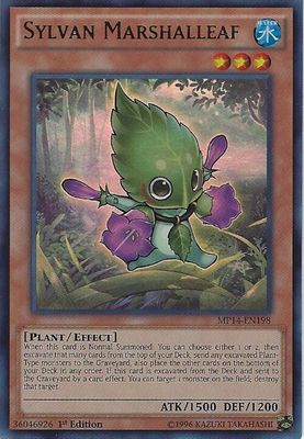 Sylvan Marshalleaf