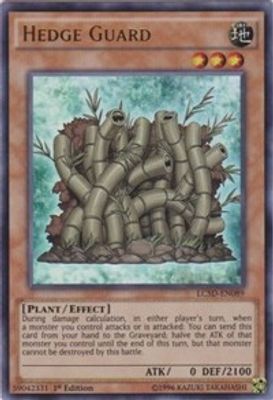 Hedge Guard