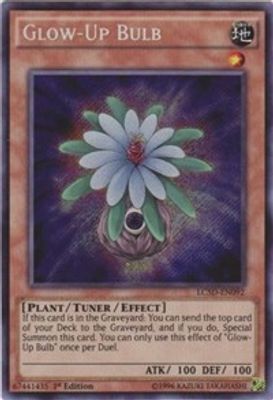 Glow-Up Bulb