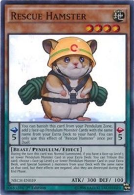 Rescue Hamster