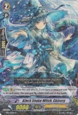 Black Snake Witch, Chicory
