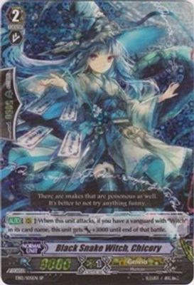 Black Snake Witch, Chicory (SP)