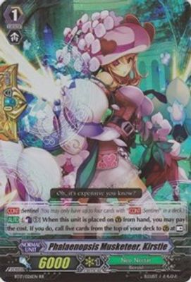Phalaenopsis Musketeer, Kirstie