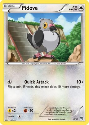 Pidove (#14)