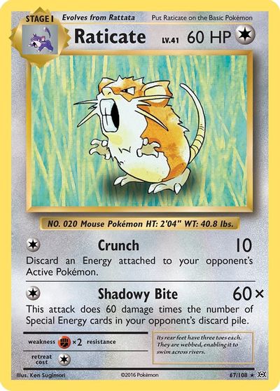 Raticate [Reverse Holo] #67