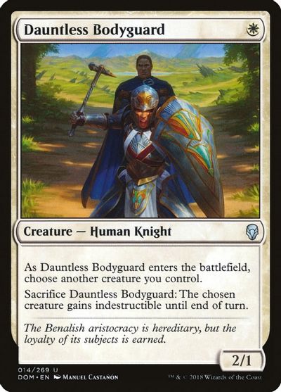 Dauntless Bodyguard #14