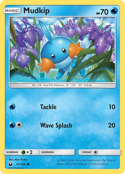Mudkip #33