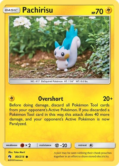 Pachirisu #80