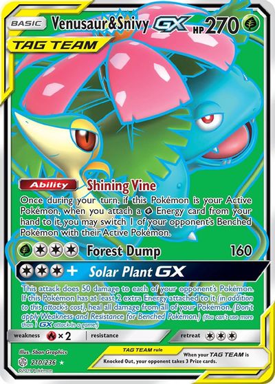 Venusaur & Snivy GX #210