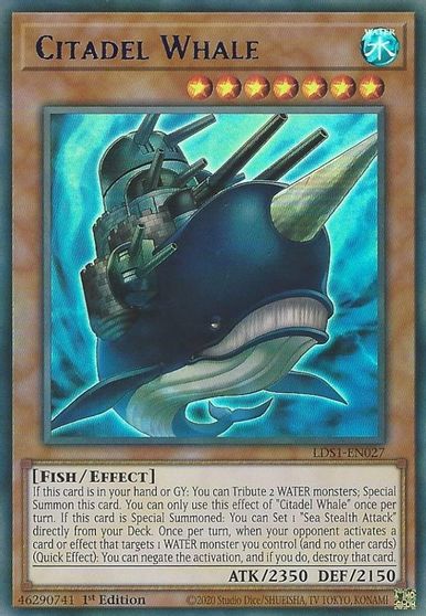 Citadel Whale Blue