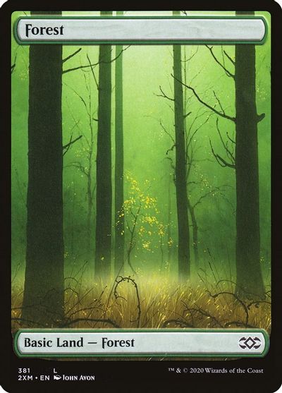 Details about  / Forest x 1 FOIL 382 10th  See Photos Free Ship MTG Ship US Only