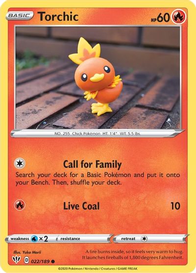 Torchic #22