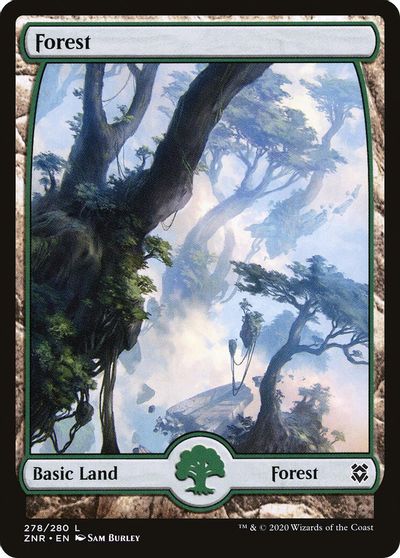 Details about / Forest x 1 FOIL 382 10th See Photos Free Ship MTG Ship US Only