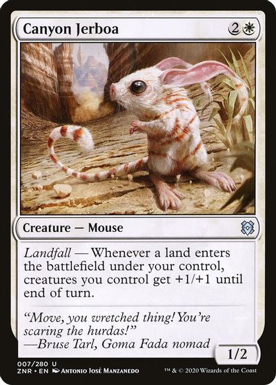 Canyon Jerboa #7