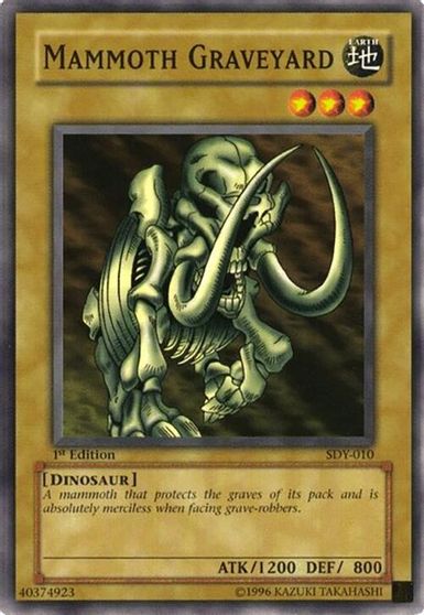 Mammoth Graveyard