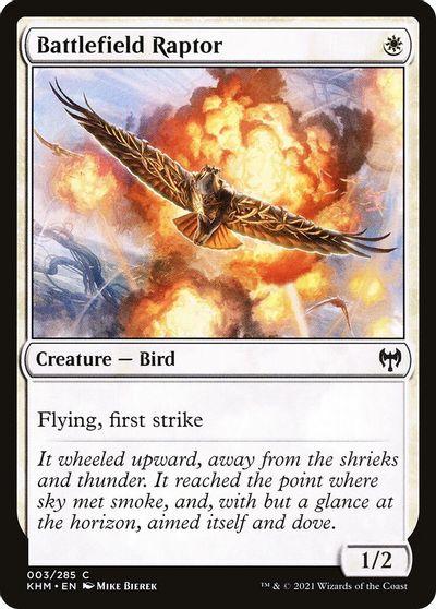Battlefield Raptor #3