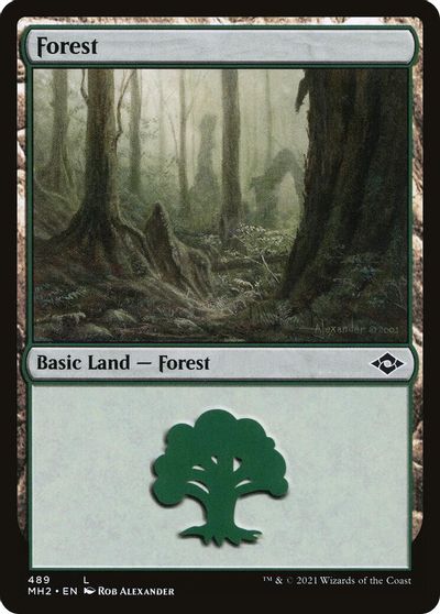 Forest #489